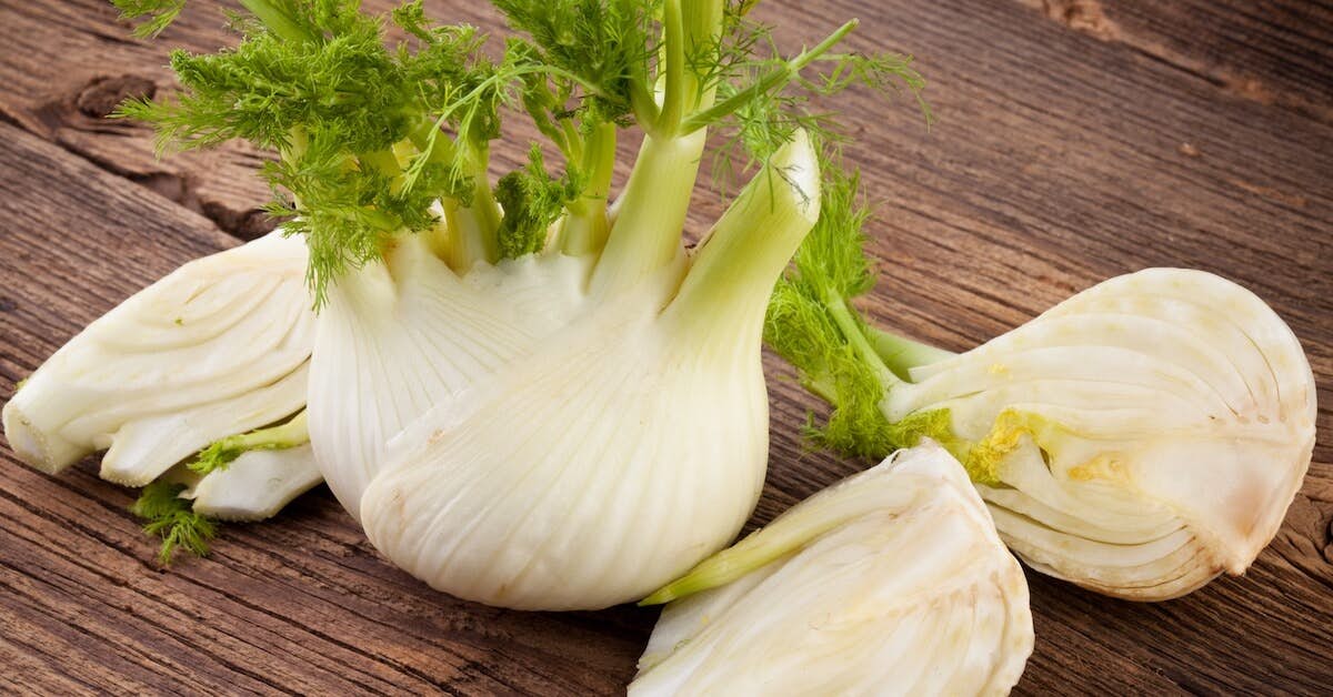 Fennel Reduced Lung Inflammation by 86 Percent about My Sinus Miracle