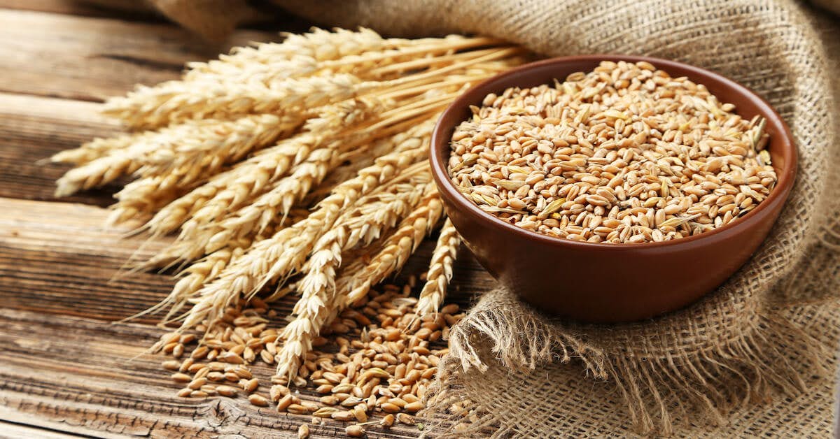 Is Wheat Ruining Your Health? about Colon Ultra Cleanse