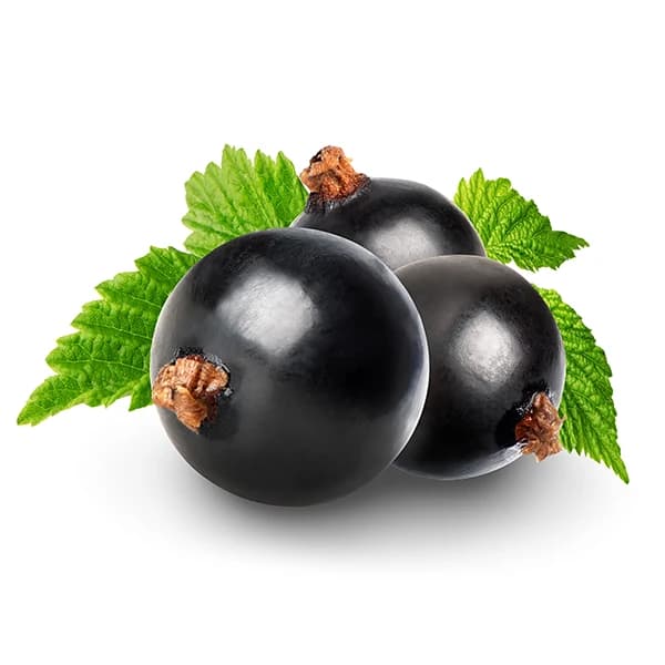 Black currants