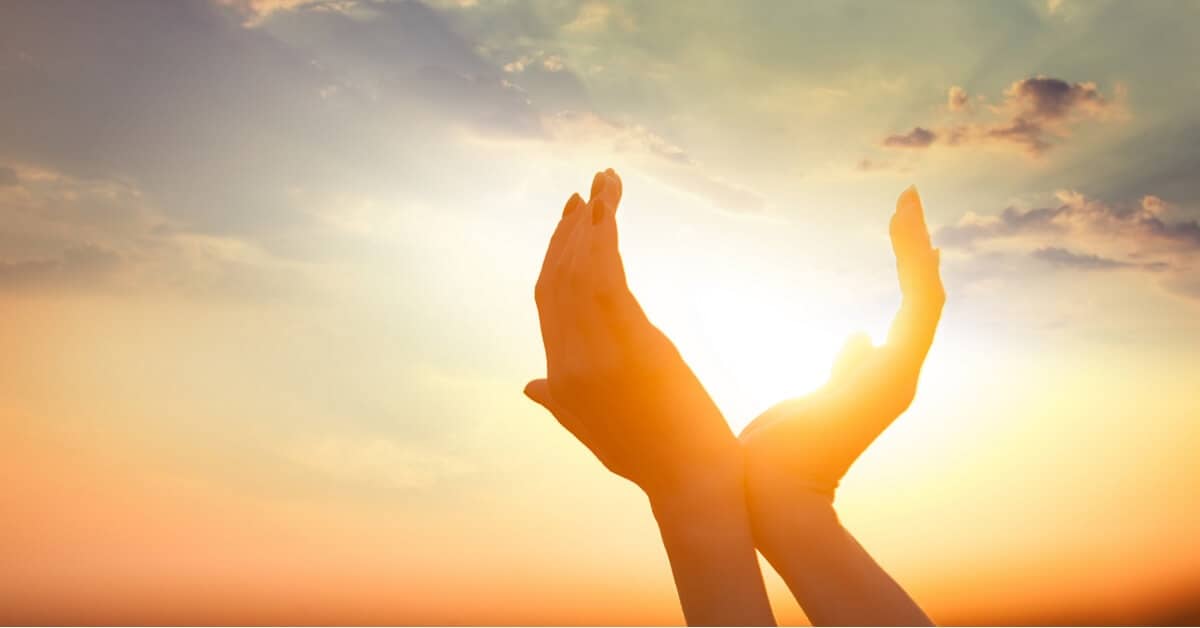 Harness the Healing Power of the Sun about Vital Force