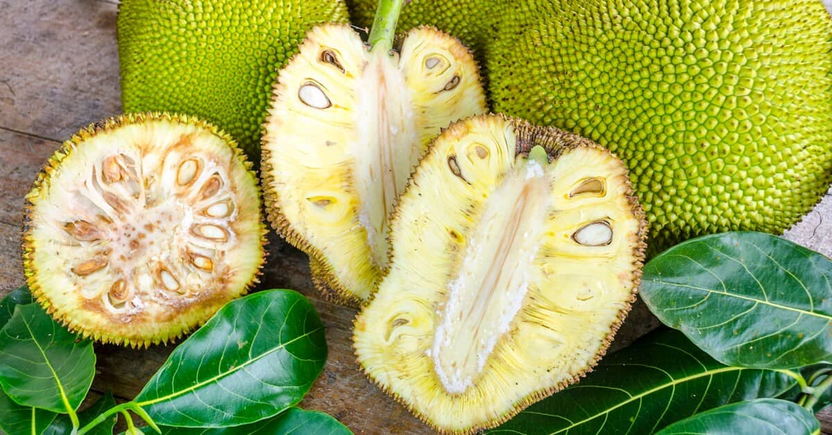 Vegetarians Replace Meat with This Nutrient-Rich Fruit about My Sinus Miracle
