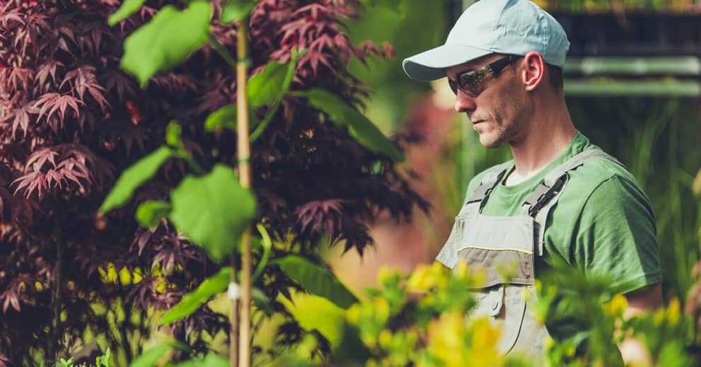 Why One Backyard Hobby is a Great Defense Against Anxiety, Depression about false