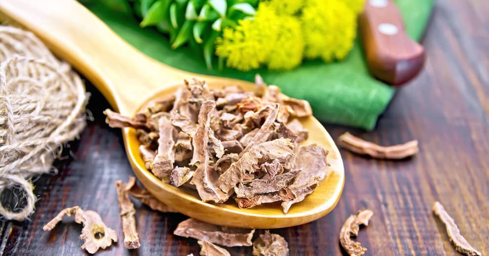 This Powerful Viking Herb Could Help You Vanquish Aging about false