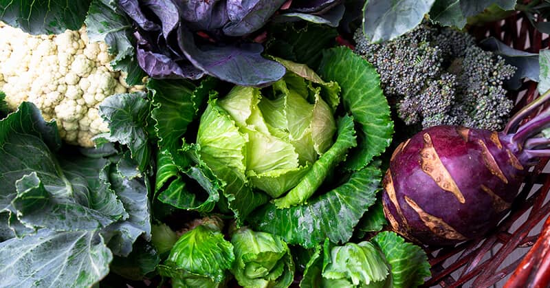 Natural Cancer-Fighter Does Even More For Your Health about false