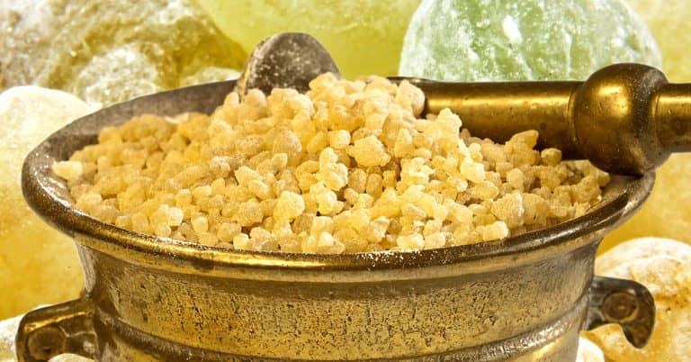 Proven Pain-Killing Power in This Ancient Herb about false