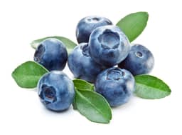 Ingredient Pterostilbene in Genesis