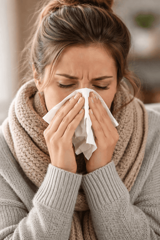 An Elderberry Supplement: Nature's Winter Immune Support
