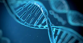 Toxin Found In Your Body Makes You Old Before Your Time
