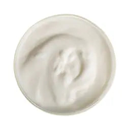 
Bifidobacterium longum

