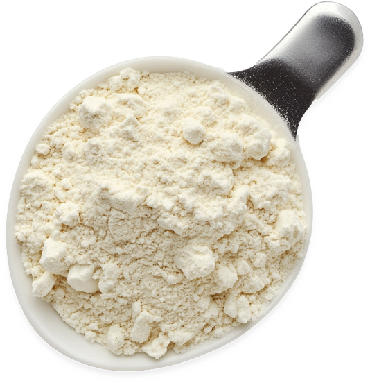 L-carnitine