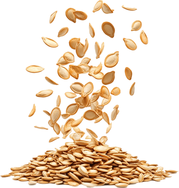 Seeds