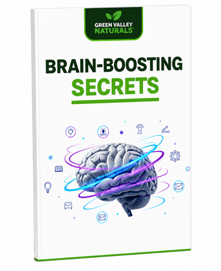 BRAIN BOOSTING SECRETS EBOOK
