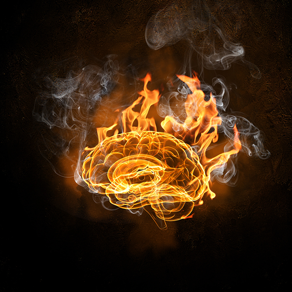 Brain on fire