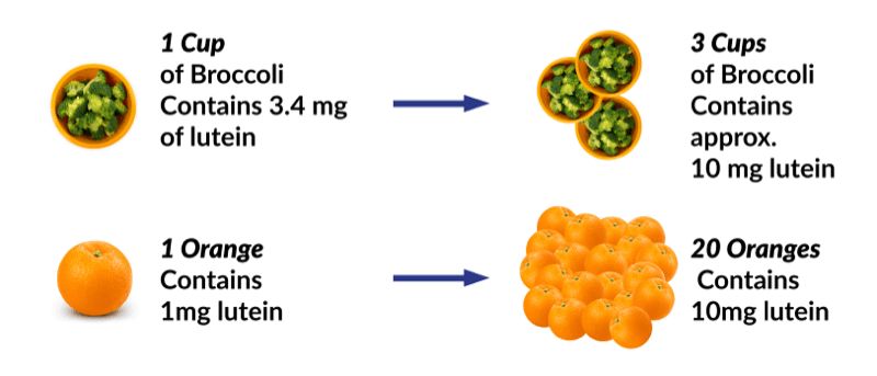 Lutein and your brain infographic