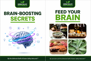 BRAIN BONUS EBOOKS
