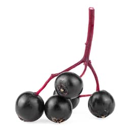 
Elderberry Fruit

