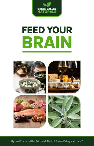 FEED YOUR BRAIN EBOOK
