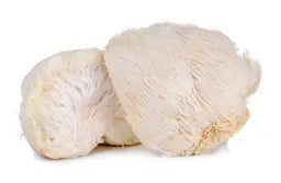 
Lion’s Mane

