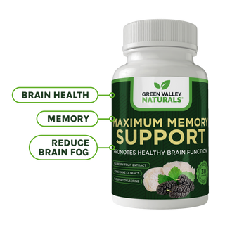 Maximum Memory Support
