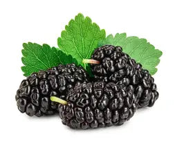 
Mulberry

