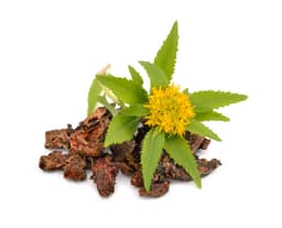 
Rhodiola Rosea

