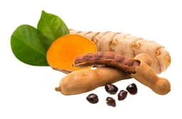 
TamaFlex

