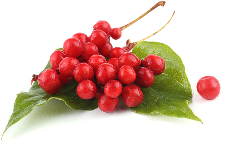 Schisandra