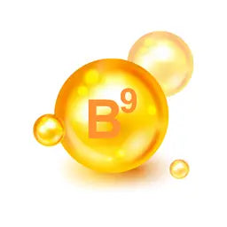 
Vitamin B9 Folate

